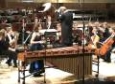 Anders Koppel - concerto pour marimba N°1 - Marianna Bednarska